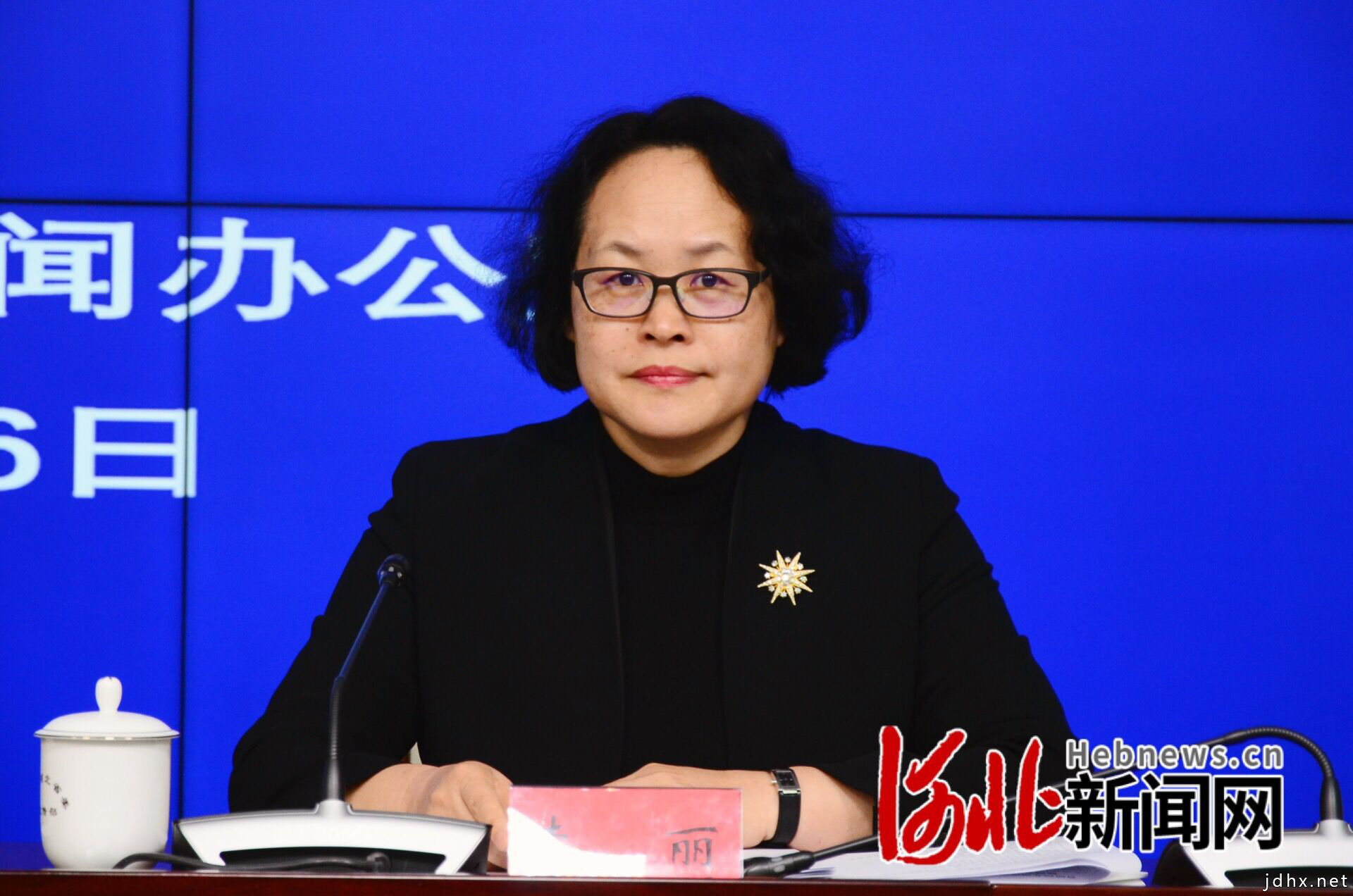 河北省政府新闻办“首届河北网络视听（脱贫攻坚）精品创作大赛”