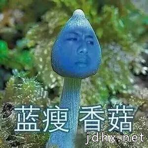 蓝瘦，香菇