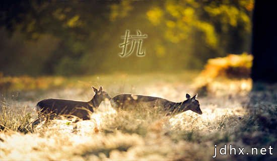 抗击疫情的励志口号
