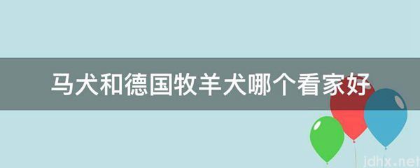 马犬和德国牧羊犬哪个看家好(图1)