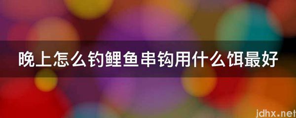 晚上怎么钓鲤鱼串钩用什么饵最好(图1)