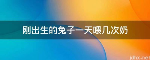 刚出生的兔子一天喂几次奶(图1)