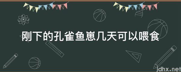 刚下的孔雀鱼崽几天可以喂食(图1)