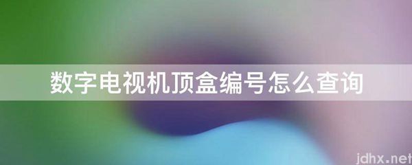 数字电视机顶盒编号怎么查询(图1)