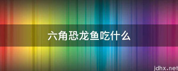 六角恐龙鱼吃什么(图1)
