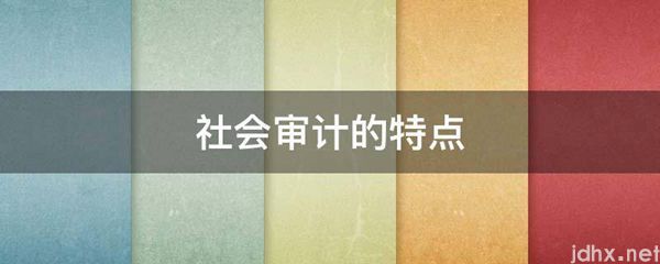 社会审计的特点(图1)