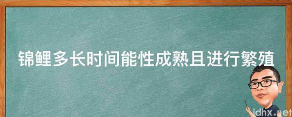 锦鲤多长时间能性成熟且进行繁殖(图1)