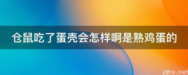 仓鼠吃了蛋壳会怎样啊是熟鸡蛋的(图1)