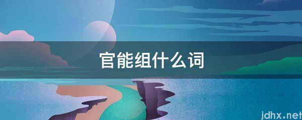 官能组什么词(图1)
