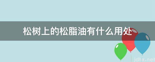 松树上的松脂油有什么用处(图1)