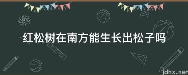 红松树在南方能生长出松子吗(图1)
