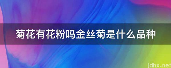 菊花有花粉吗金丝菊是什么品种(图1)