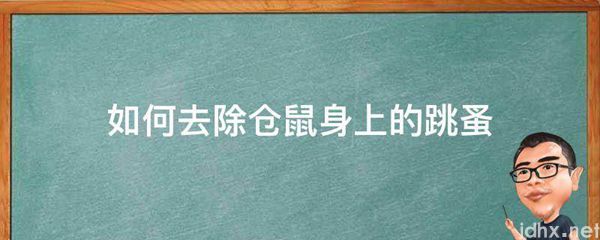 如何去除仓鼠身上的跳蚤(图1)