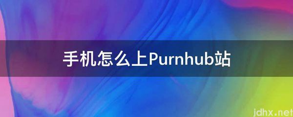 手机怎么上Purnhub站(图1)