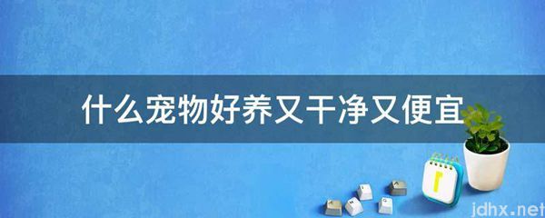 什么宠物好养又干净又便宜(图1)