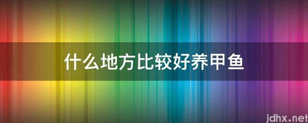 什么地方比较好养甲鱼(图1)