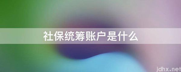 社保统筹账户是什么图片(图1)