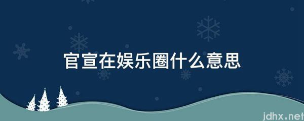 官宣在娱乐圈什么意思(图1)