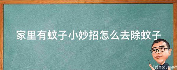 家里有蚊子小妙招怎么去除蚊子(图1)