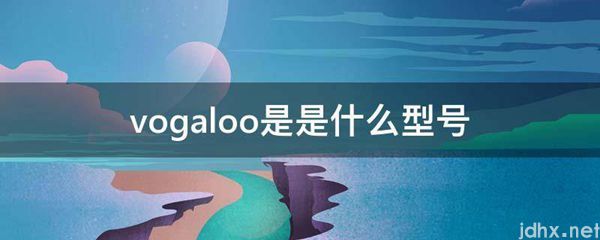 vogaloo是是什么型号(图1)
