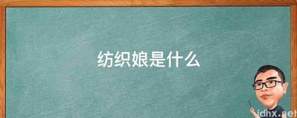 纺织娘是什么图片(图1)