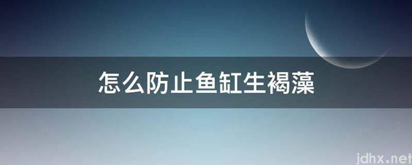 怎么防止鱼缸生褐藻(图1)