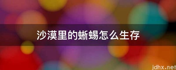 沙漠里的蜥蜴怎么生存(图1)