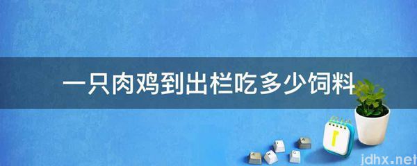 一只肉鸡到出栏吃多少饲料(图1)