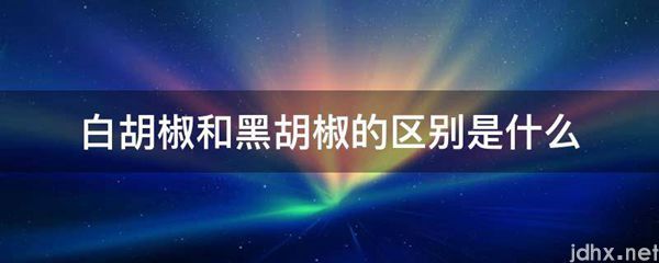 白胡椒和黑胡椒的区别是什么图片(图1)
