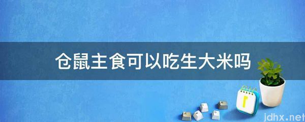仓鼠主食可以吃生大米吗(图1)