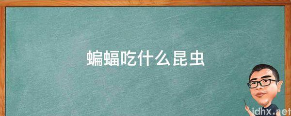 蝙蝠吃什么昆虫(图1)