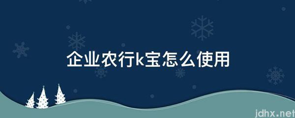企业农行k宝怎么使用(图1)