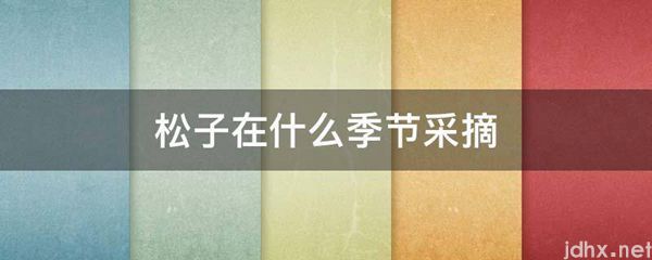 松子在什么季节采摘(图1)