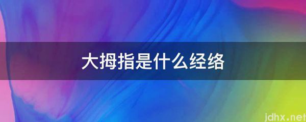 大拇指是什么经络(图1)
