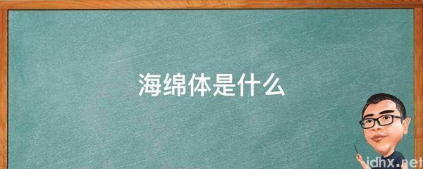 海绵体是什么图片(图1)