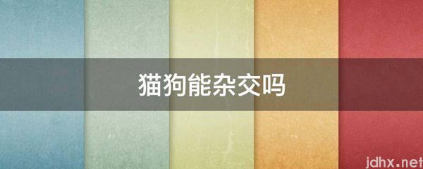 猫狗能杂交吗(图1)