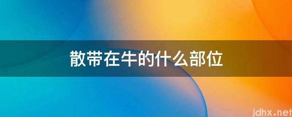 散带在牛的什么部位(图1)