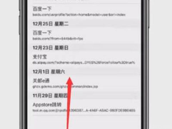 苹果手机如何查历史浏览记录(图4)