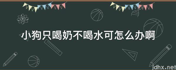 小狗只喝奶不喝水可怎么办啊(图1)