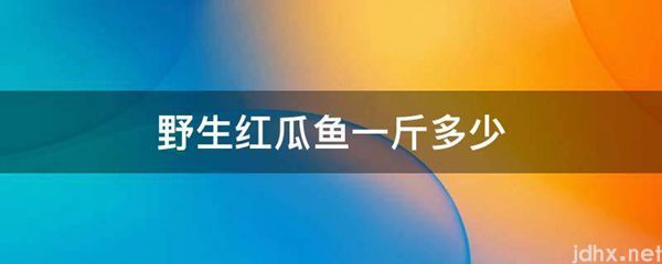 野生红瓜鱼一斤多少(图1)