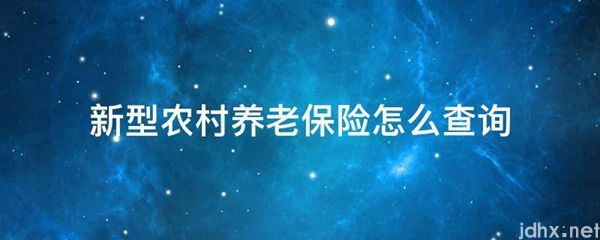 新型农村养老保险怎么查询(图1)