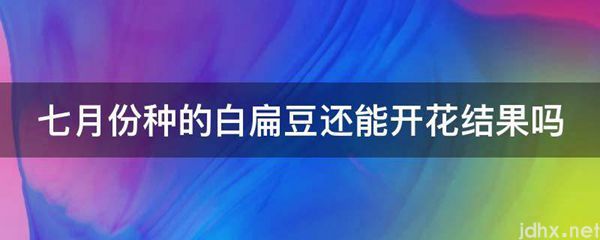 七月份种的白扁豆还能开花结果吗(图1)