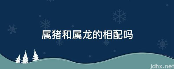 属猪和属龙的相配吗(图1)