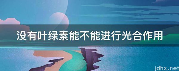没有叶绿素能不能进行光合作用(图1)