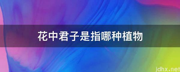 花中君子是指哪种植物(图1)