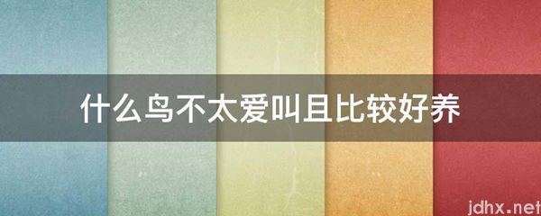 什么鸟不太爱叫且比较好养(图1)