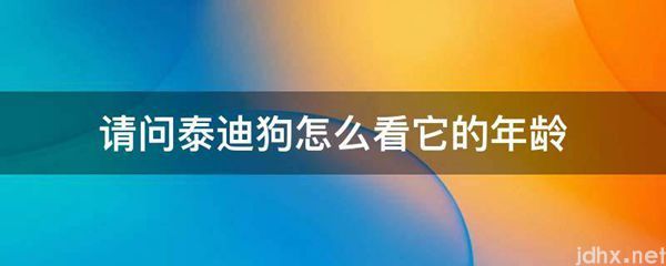 请问泰迪狗怎么看它的年龄(图1)