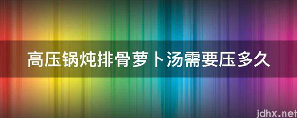 高压锅炖排骨萝卜汤需要压多久(图1)