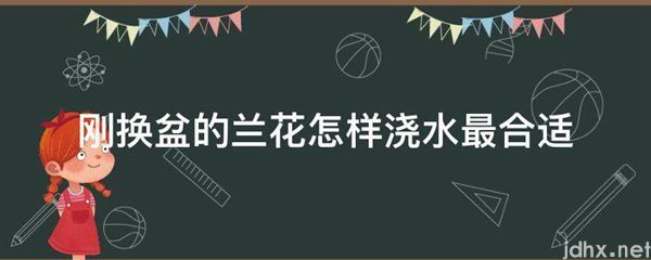 刚换盆的兰花怎样浇水最合适(图1)