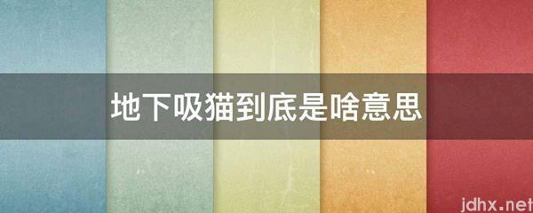 地下吸猫到底是啥意思(图1)